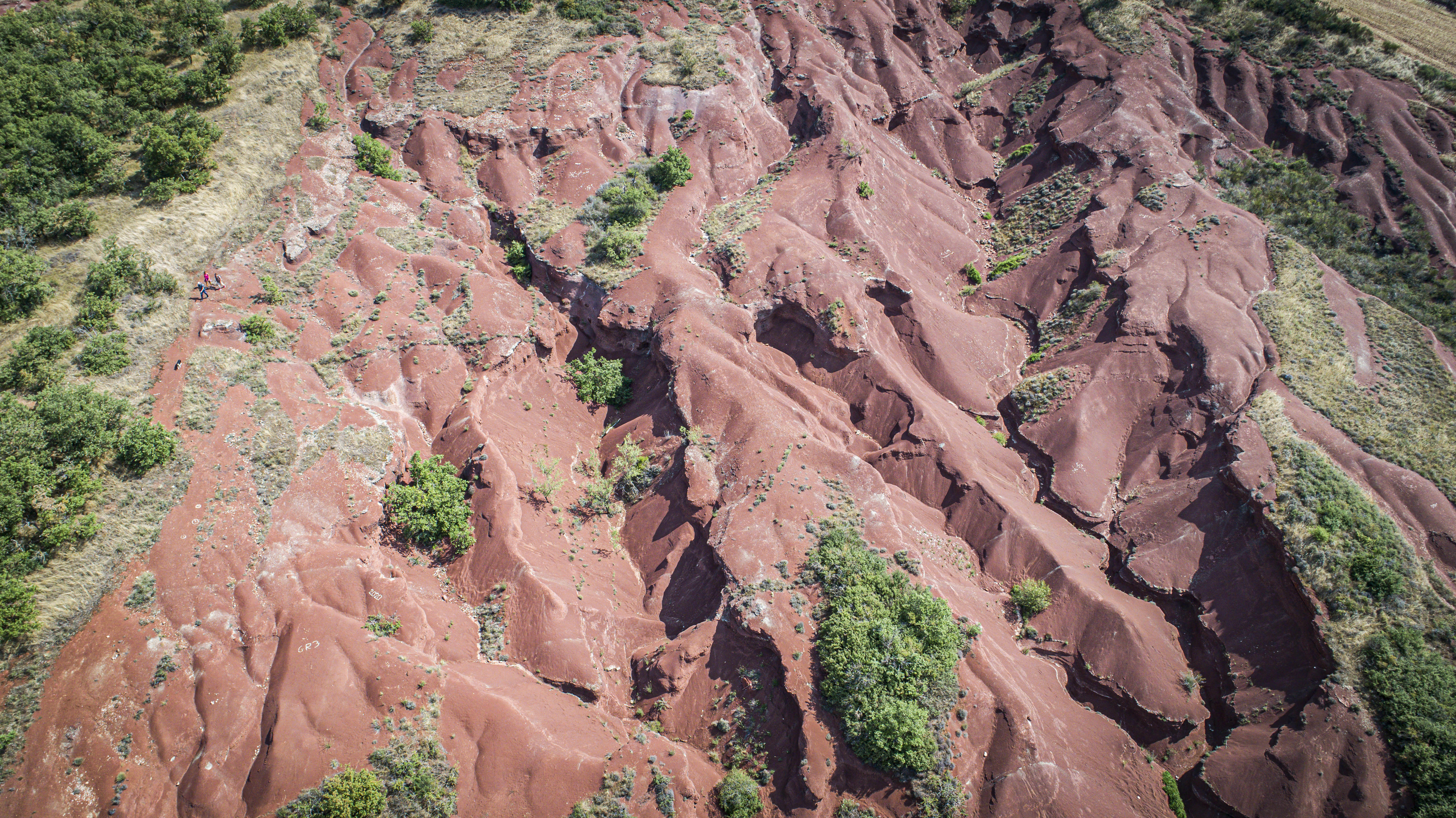 Les canyons du Rougier, Steloweb