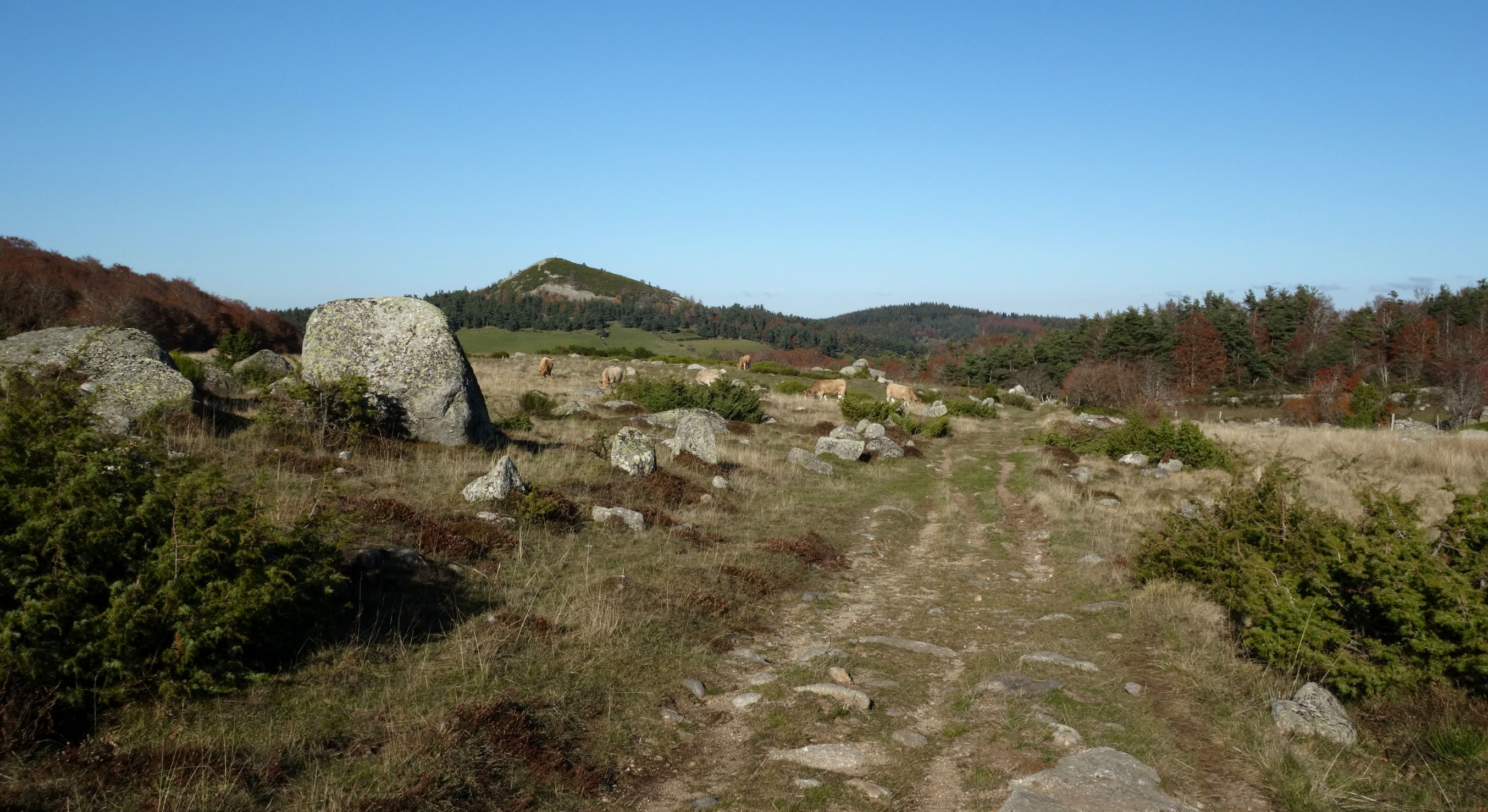 GR® De Pays Tour Des Monts D'Aubrac : De La Baume à Bonnecombe - Rando ...