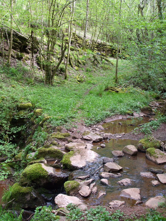 Le ruisseau de l'Albespy, OT Pays Belmontais