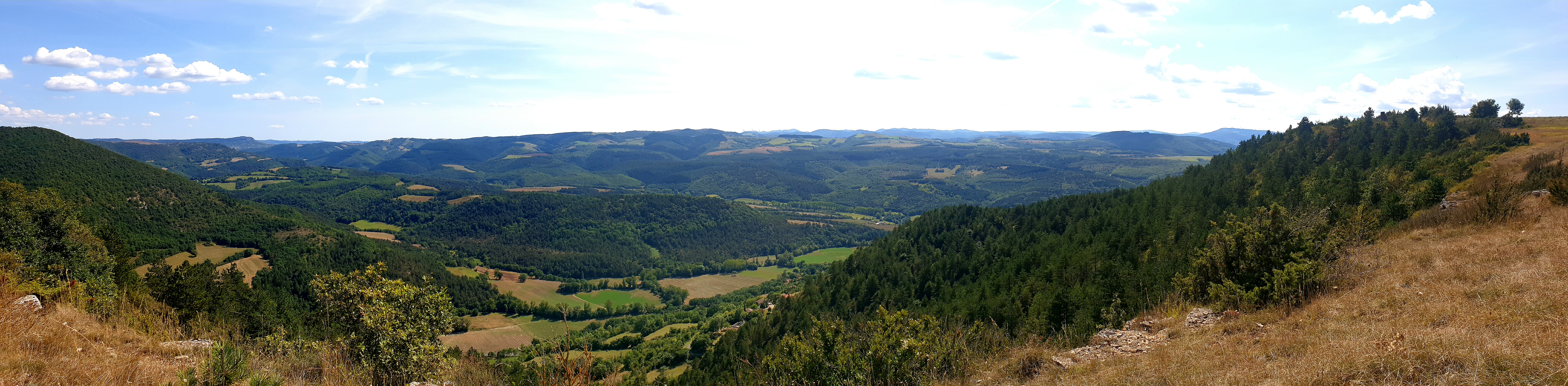 Crêtes et buissières du plateau de Mascourbe
