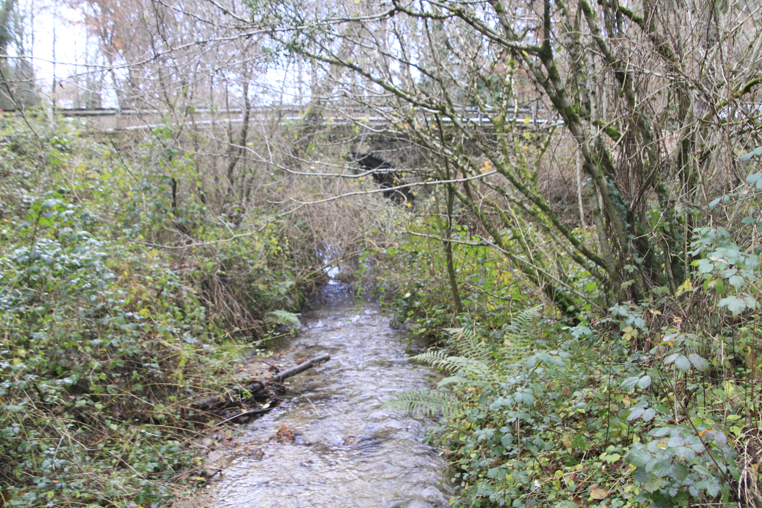Les trois bras du Jaoul