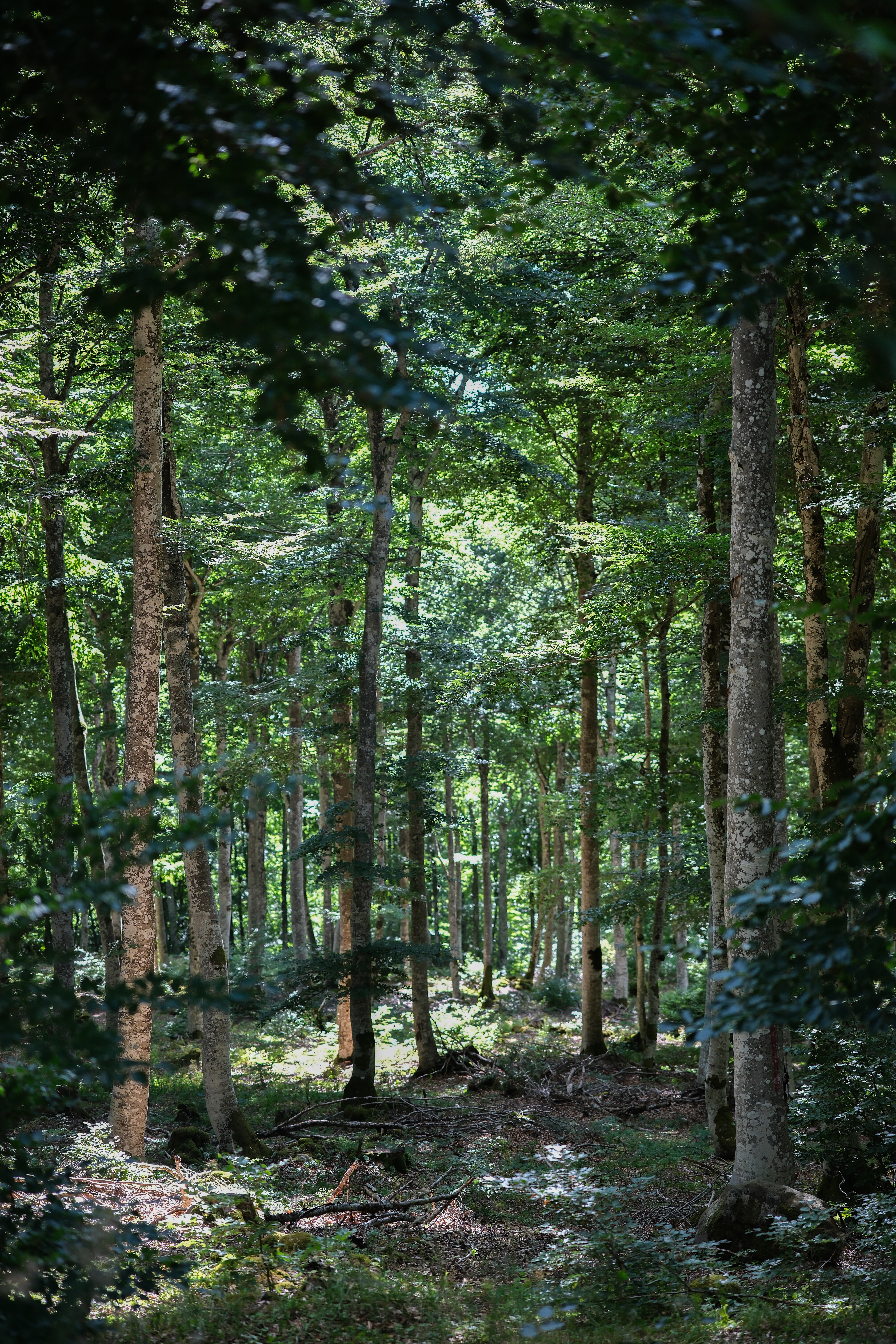 Traversée des Parcs, étape n°1