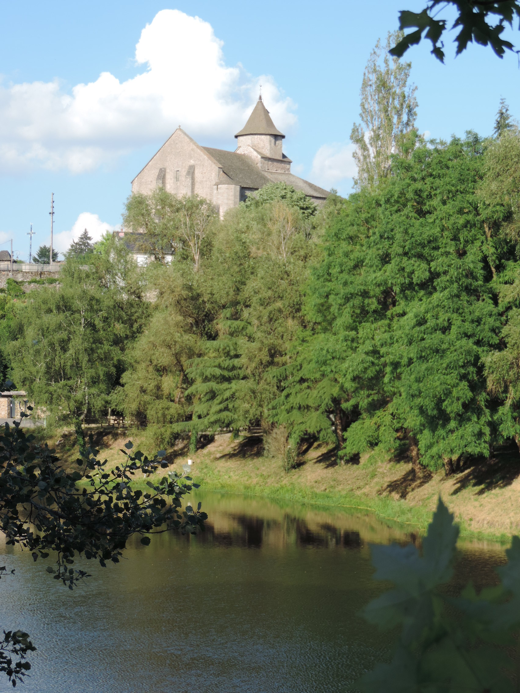 De l'arbre bleu à l'arborétum